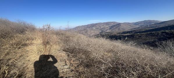 69b37f9c11adb.jpg 360截图20260313110744214.jpg